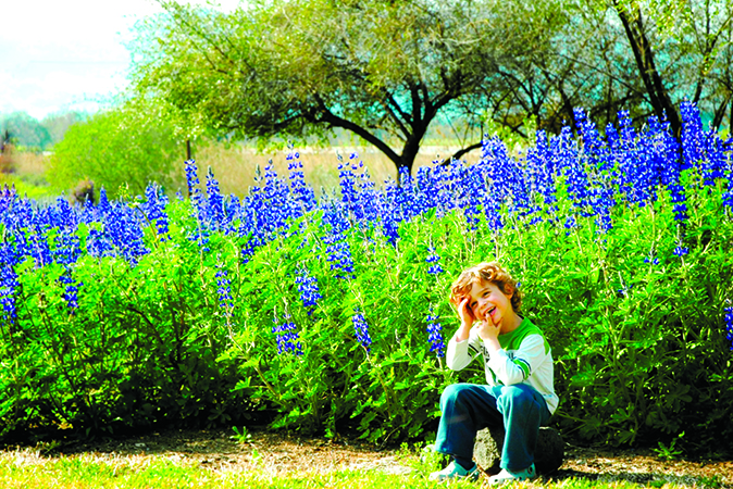 מסלול התורמוס בגולן